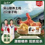 杨博士【童子鸡】安徽皖南散养土鸡小公鸡新鲜鸡肉1只净重1.3斤源头直发 2只童子鸡丨赠鸡血+照烧汁