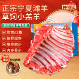 仲亨记宁夏滩羊肉生鲜羊排羊肋排 羔羊肉 可做手抓羊排 烧烤食材羊排 【散养乳羔羊】5斤羊排