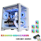 玩嘉 孤勇者MINI白电脑机箱台式机MATX海景房240一体水冷全侧透ITX桌面 孤勇者MINI白+棱镜器白RGB五风扇