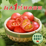 京鲜生＆瓦大1号鲜食番茄 净重5斤单果60g+ 自然熟 水果西红柿源头直发