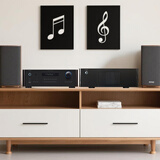 ROTEL路遥RC-1590MKII音响 音箱 hifi高保真 家用前级功放 立体声前置放大器 PC-USB/蓝牙  黑色