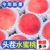 山西露天水蜜桃桃子当季现摘水果5斤冬桃软毛桃子脆甜水密桃整箱 尝鲜装【3斤】