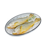 三都港 宁德大黄鱼净重600g/2条 黄花鱼 生鲜鱼类 源头直发