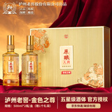 泸州老窖股份出品 原酿天典金色之尊 官方正品 五星级品质 宴请送礼 52%vol 500mL 2瓶 礼盒装（赠礼袋）