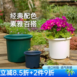 爱丽思（IRIS）Deepot花盆加厚树脂控根圆口绿萝绣球蔷薇月季塑料花盆 8号白色(口径约26.6cm)无盆托