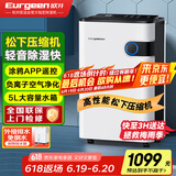 欧井（Eurgeen）除湿机/抽湿机 除湿量22升/天 家用地下室净化杀菌智控除湿器 OJ-223E