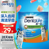 齿一生猫零食猫咪饼干洁齿零食成猫 鸡肉味170g 磨牙减少牙结石