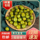 青甜番茄新鲜青霞番茄绿翡翠圣女果正宗青皮绿心樱桃番茄 绿翡翠3斤（带箱）