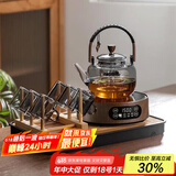 忆壶茶（YIHUTEA） 茶壶玻璃泡茶壶侧把过滤煮茶壶加厚耐热电陶炉烧水壶养生煮茶器 【待客套装】850ML黑色壶+木纹炉