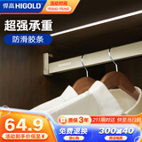 悍高（HIGOLD）衣柜挂衣杆橱柜杆晾衣杆钴铂金500柜体（内宽515-523mm）带管座