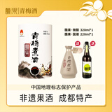 醺果 青梅煮酒量贩装成都青梅低度甜酒大满足青梅果酒梅酒梅子酒10度 5000ml