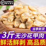 花甲肉鲜活花甲剥肉无沙蛤蜊肉蛏子肉黄蚬子肉花蛤肉海鲜水产商用 无沙花甲肉3斤装【有沙包赔】