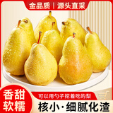 亨迅烟台太婆梨山东梨子啤梨香蕉梨大头梨茄梨软梨新鲜水果生鲜 3斤超值装（净重2.8斤） 香甜软糯|核心产区直发|放软后吃