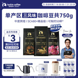 瑞幸咖啡即享花魁+瑰夏+耶加雪菲精品咖啡豆共750g 门店同款
