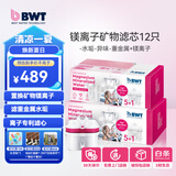 倍世（BWT） 第4代镁离子活力款滤芯 德国技术欧洲原装进口 过滤净水器家用滤水壶净水杯净水壶用 【镁离子】12只装