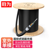 胜为GYTA重铠地埋单模室外光缆 12芯光缆 铠装层绞式直埋光缆通信线 1米BGYTA-12-1M