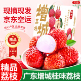 京地达广东增城桂味荔枝礼盒净重4.5斤单果16g当季新鲜水果源头直发包邮