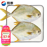 翔泰 海南金鲳鱼净重900g 2条装  鱼类生鲜 烧烤 火锅食材 海鲜水产