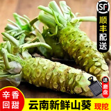 【顺丰】新鲜山葵 待磨鲜山葵根 芥辣日料wasabi芥末原材料 100g（2-5根）