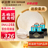 宜露梅花鹿角帽粉100克吉林双阳鹿角帽打粉胶囊鹿托盘梅花鹿乡