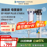 爱惠浦（Everpure） 家用矿物质厨下净水器 大流量0废水直饮 1.8L/分钟3500L处理量 EF-900P Plus