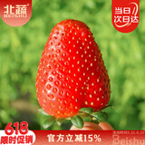 北蔬 红草莓种子种苗四季盆栽阳台室内庭院水果籽 奶油草莓种子1000粒