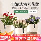 漫生活 花盆3只装(约3.7L/盆)口径165mm米白圆形加厚塑料托盘(不含植物)