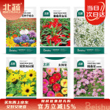 北蔬 花草花卉种子种苗四季种好养室内外盆栽花种籽 6种花草种子组合