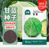 北蔬 甘蓝种子苗卷心菜包菜圆白菜大头菜夏秋季菜种籽 甘蓝种子500粒