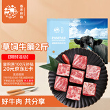 春禾秋牧 阿根廷草饲原切牛腩2斤 切块 不注水不滚揉 进口生鲜牛肉