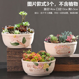 仟尚亿随机八个花盆陶瓷批发带托盘家用绿萝创意简约多肉植物小多肉花盆 SJH三件套-璀璨花朵（无托盘） 中等