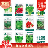 北蔬 蔬菜种子种苗萝卜白菜香菜生菜葱菠菜夏秋种籽 11种蔬菜种子套餐