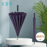 天堂 长柄加大雨伞半自动强抗风商务直杆伞晴雨伞65*16骨 紫裳色