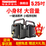 特美声（TEMEISHENG） SL06-26广场舞户外便携音响家用移动K歌手提蓝牙低音小型音箱 5.25寸标配+1支无线话筒+大礼包 (赠送好礼)