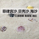 宠街坊贝壳沙珊瑚沙三湖缸造景底砂海缸底砂白沙珊瑚砂1斤装