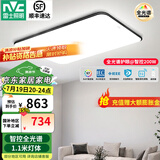 雷士（NVC） led吸顶灯 客厅大厅大瓦数客厅灯北欧灯具灯饰 现代简约客厅大灯 【200瓦黑苹果客厅】智控全光谱