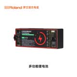罗兰（Roland）配件耳机琴架琴包电钢琴电子琴电子鼓键盘乐器定制 多功能锂电池 定制配件（非Roland）