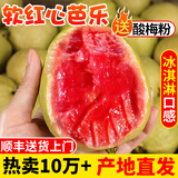 探味君 广西红心芭乐番石榴 新鲜水果生鲜健康轻食带箱 软糯红心芭乐1斤