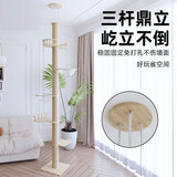 珑小宠猫爬架猫窝加粗大型猫树一体太空舱猫架子小户型不占地麻绳猫玩具 290cm 5层 【TS06款】