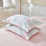 欣嘉妍 纯棉全棉枕头套 纯棉高支高密面料水洗棉信封枕头罩尺寸定制 雪芙妮48*74cm 40支 100%全棉 枕套一对装 74cm*48cm