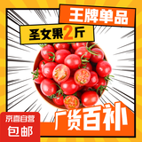 新鲜采摘圣女果樱桃小番茄蔬菜 带箱2斤精选果