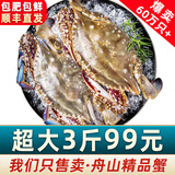 【销量60W+只】舟山超大梭子蟹鲜蟹活冻大螃蟹生鲜飞蟹大肉蟹 3斤4-8只