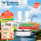 道尔顿（Doulton）净水器家用直饮  道尔顿台上旗舰款DCP203净水器英国原装进口高端净水机过滤自来水保留矿物质 DCP203套机(自带加配各2芯合4芯)
