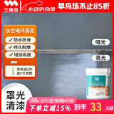 三青水性地坪漆水泥地家用地面漆室内外地板防水耐磨地平漆 清漆1KG
