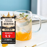 唯铭诺玻璃杯耐高温泡茶杯子男士办公室带把喝水杯单层高硼硅玻璃杯