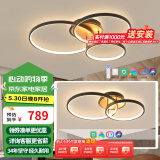 三雄极光 智能客厅吊灯北欧后现代简约餐厅卧室轻奢艺术吊灯 【一室一厅】套餐A1-硅胶款