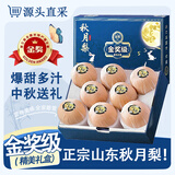 三萌果蔬正宗山东秋月梨 新鲜现摘莱阳冰糖梨子水果礼盒节日送礼 【甄选级-大果】单果300-350g 5斤装【店长力荐-80%选择】净重4.5斤