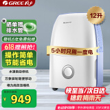 格力（GREE）除湿机/抽湿机家用卧室小型低噪除湿器压缩机式吸湿器12升/天单间参考面积24平DH12EA