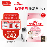 皇家幼猫猫粮 幼猫奶糕 K36 通用粮 4-12月 4.5KG