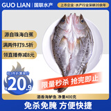 GUO LIAN国联水产 三去酒香海鲈鱼净重400g 三去开背 海鲜海产